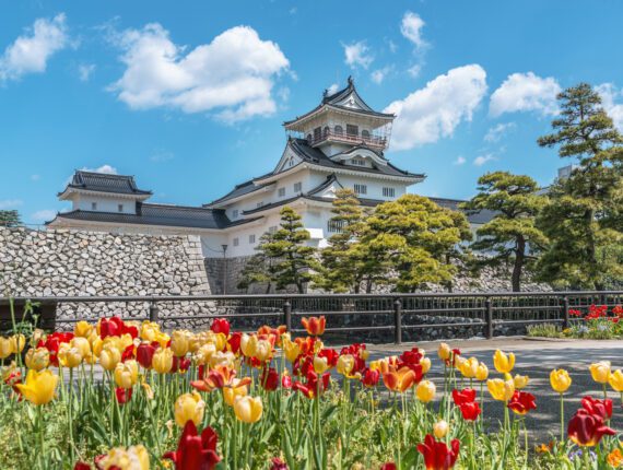 日本で最も美しい都市の一つである富山。